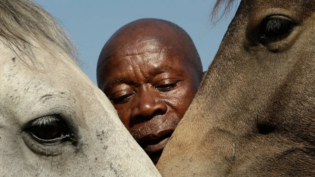 Pada 1980, Enos Mafokate mencatat sejarah sebagai pria kulit hitam Afrika Selatan pertama yang tampil di ajang show jumping internasional. (Foto: AP)