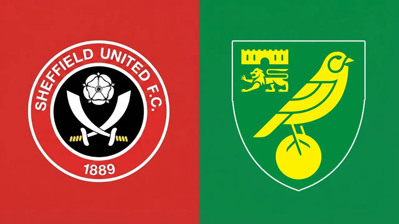 Angka dan Statistik Jelang Laga Sheffield United vs Norwich City di EFL Championship