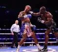Fabio Wardley Bongkar Kekuatan Pukulan Daniel Dubois