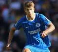 Luka Vuskovic Bahagia Bantu Brighton Hindari Kekalahan