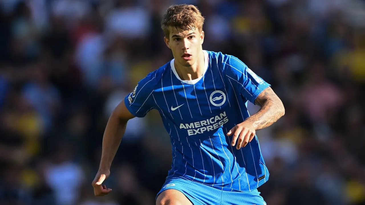 Luka Vuskovic Bahagia Bantu Brighton Hindari Kekalahan