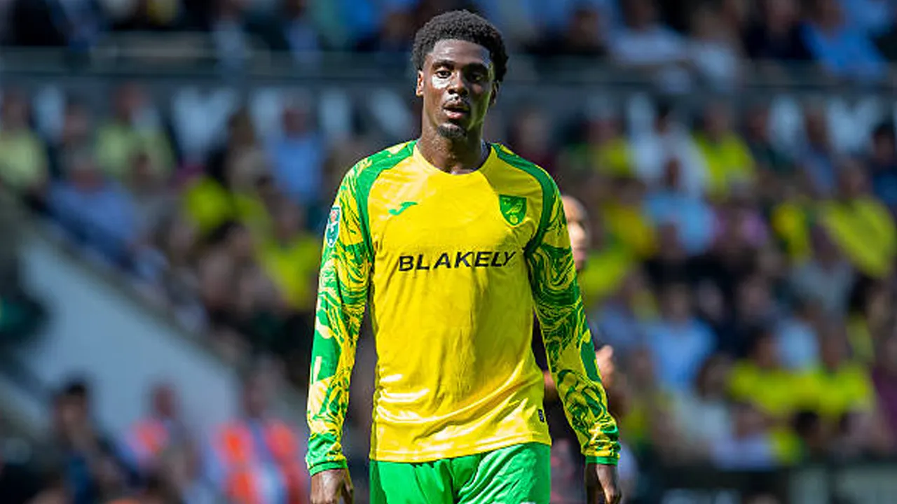 Mohamed Toure Cetak Gol, Norwich City Kalahkan Sheffield United 3-1