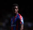 Eddie Nketiah Siap Kembali Berlatih Jelang Duel Crystal Palace vs Ipswich
