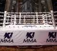 Scott Coker Hadirkan Ki MMA dengan Format Pertarungan di Dalam Ring