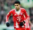 Luis Diaz Akhirnya Angkat Suara Usai Terus Mendapat Kritik karena Minim Gol