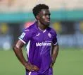 Gnonto Temukan Kebangkitan Karier di Fiorentina Usai Musim Sulit di Leeds