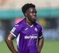 Wilfried Gnonto Ungkap Kesan Awal Bersama Pelatih Baru Vanoli