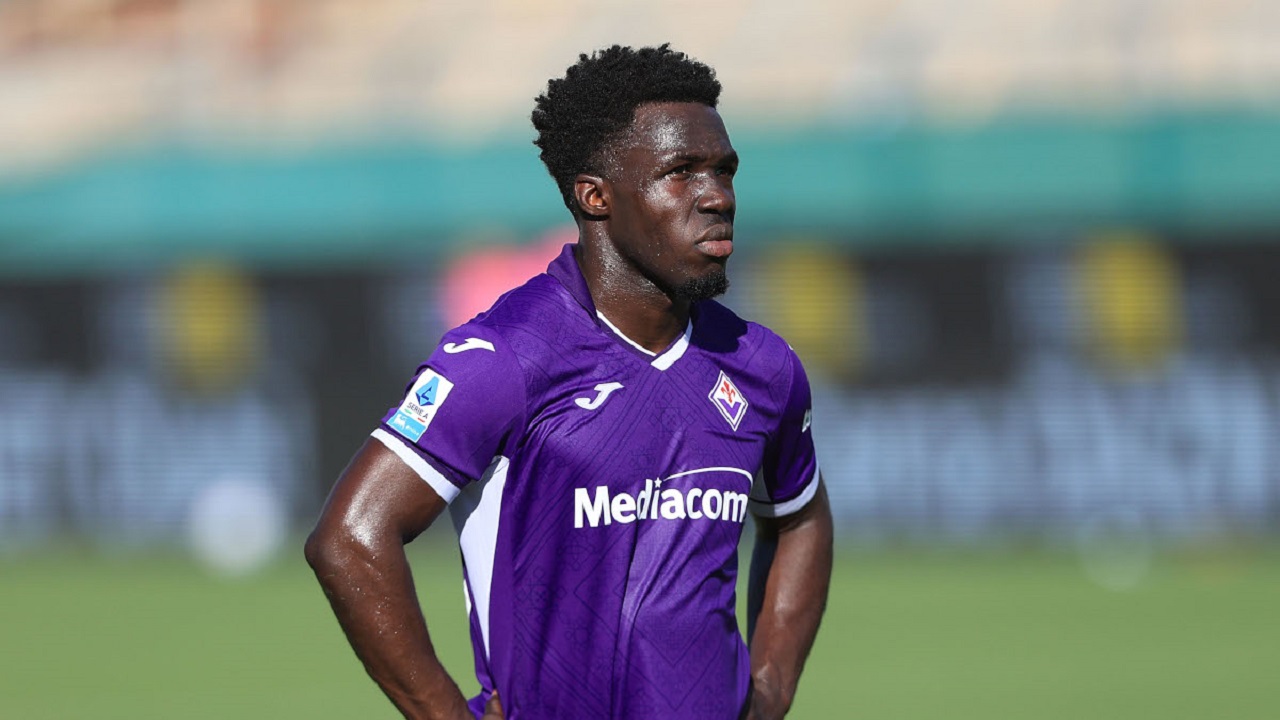 Wilfried Gnonto Ungkap Kesan Awal Bersama Pelatih Baru Vanoli