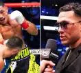 David Benavidez Nilai Opetaia Lambat dan Terlalu Mudah Terkena Pukulan
