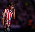 Diego Simeone Minta Fans Atletico Madrid Kembali Dukung Julian Alvarez