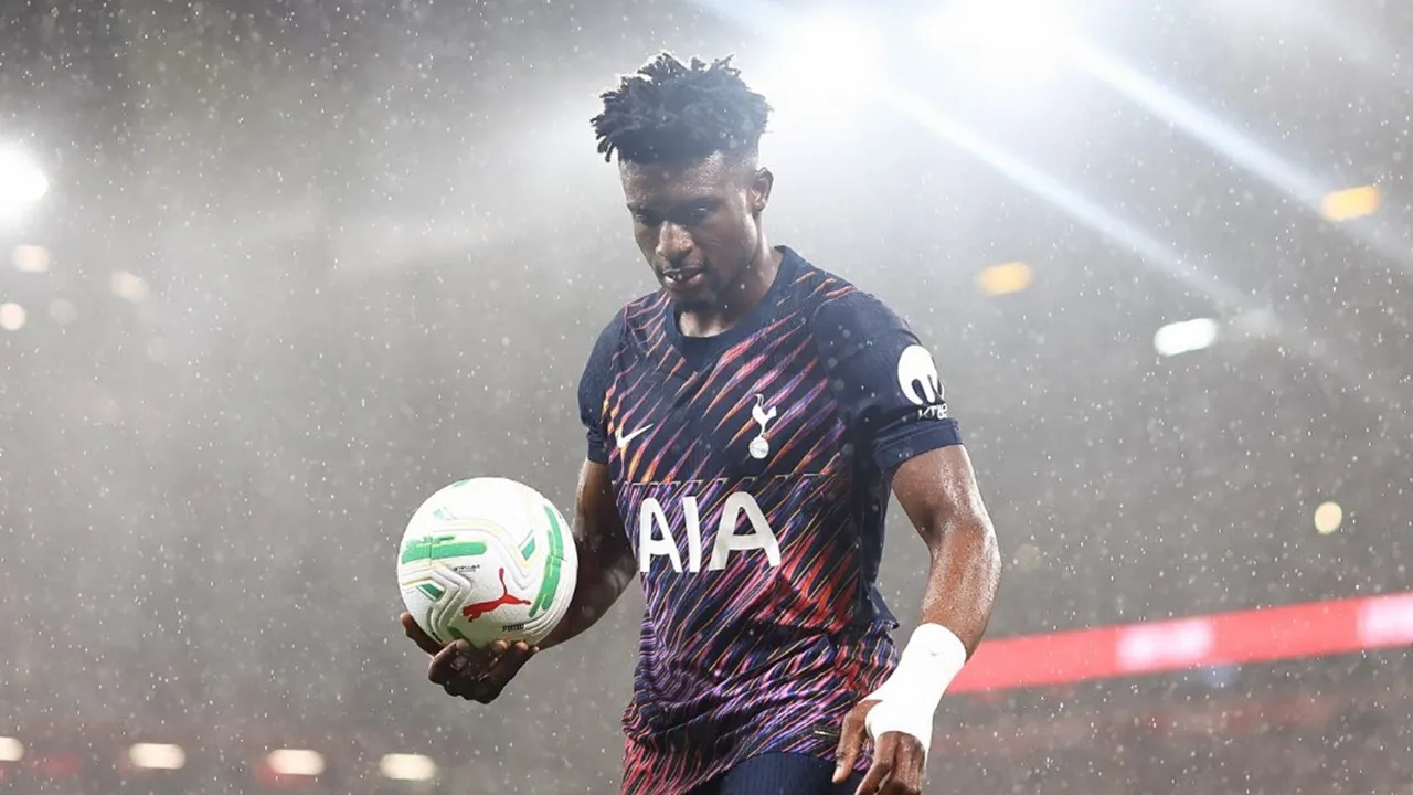 Penyerang Tottenham
