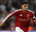 Tottenham Kembali Lirik Morgan Gibbs-White untuk Benahi Lini Serang