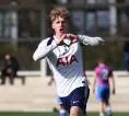 Tottenham Sudah Punya Penerus Lankshear Yang Produktif