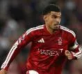 Nottingham Forest Siap Tawarkan Kontrak Baru untuk Gibbs-White