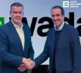 Federasi Padel International Jelaskan Dicoretnya Swiss Dari Kejuaraan Dunia