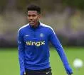 Carlo Ancelotti Beri Jaminan Menit Bermain untuk Estevao Willian