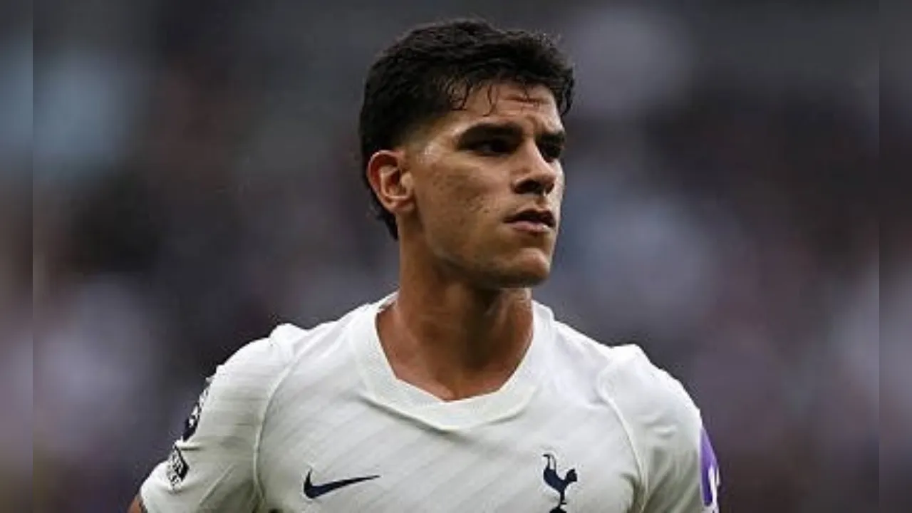 Gelandang Tottenham