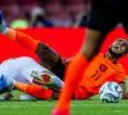 Cedera Pergelangan Kaki, Cody Gakpo Mundur dari Skuat Timnas Belanda