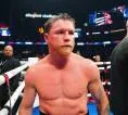 Canelo Alvarez Berencana Gelar Pertarungan Terakhir di Meksiko