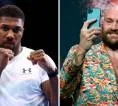 Anthony Joshua Dinilai Lebih Rentan dalam Duel Kontra Tyson Fury