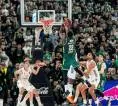 Jerian Grant Ingin Panathinaikos Bermain Dengan Identitas Sendiri