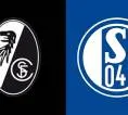 Angka dan Statistik Jelang Laga Freiburg vs Schalke 04 di Bundesliga Jerman