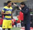 Parma Pecat Cuesta Usai Kemenangan, Gilardino Siap Ambil Alih