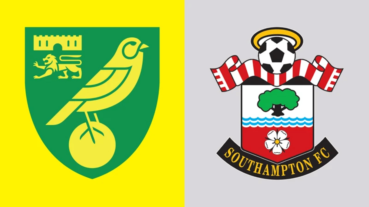 Angka dan Statistik Jelang Laga Norwich City vs Southampton di EFL Championship