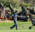 Hakim AS Hentikan Penebangan Pohon di Lapangan Golf Bersejarah DC