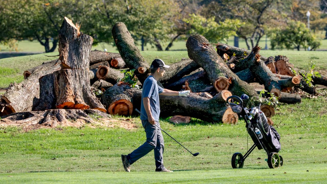 Hakim AS Hentikan Penebangan Pohon di Lapangan Golf Bersejarah DC