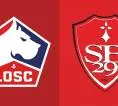 Statistik Kunci Jelang Laga Lille vs Brest di Ligue 1 Prancis