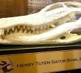 Henry Tuten Gator Bowl Pro-Am Ke-50: Laga Bersejarah Penuh Kenangan