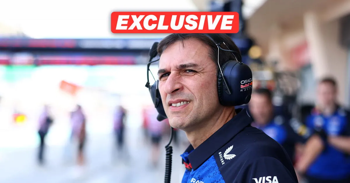 Red Bull Belum Puas Tanpa Gelar Juara Dunia F1 - sumber: (racingnews365)