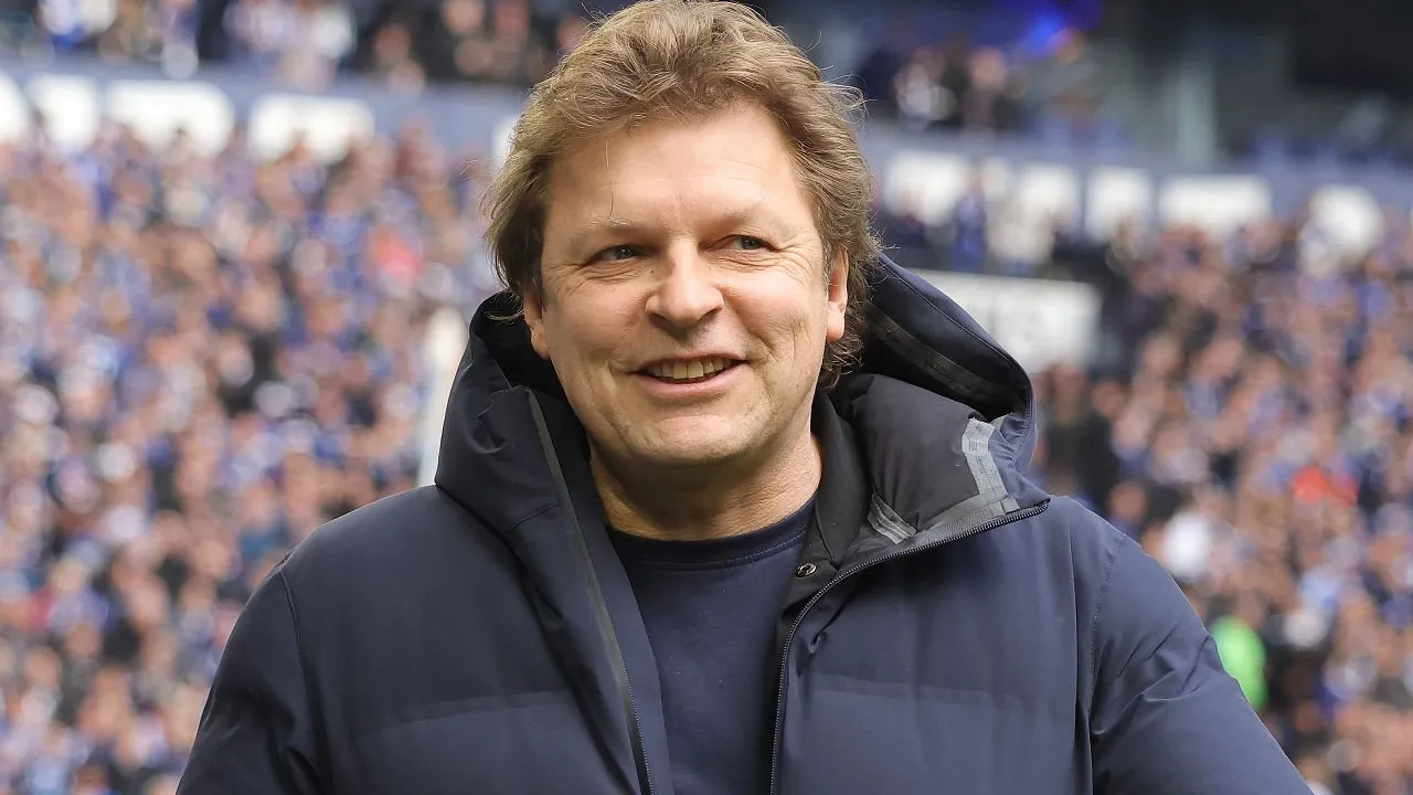 Youri Mulder Soroti Hilangnya Agresivitas Schalke saat Kalah dari Mainz