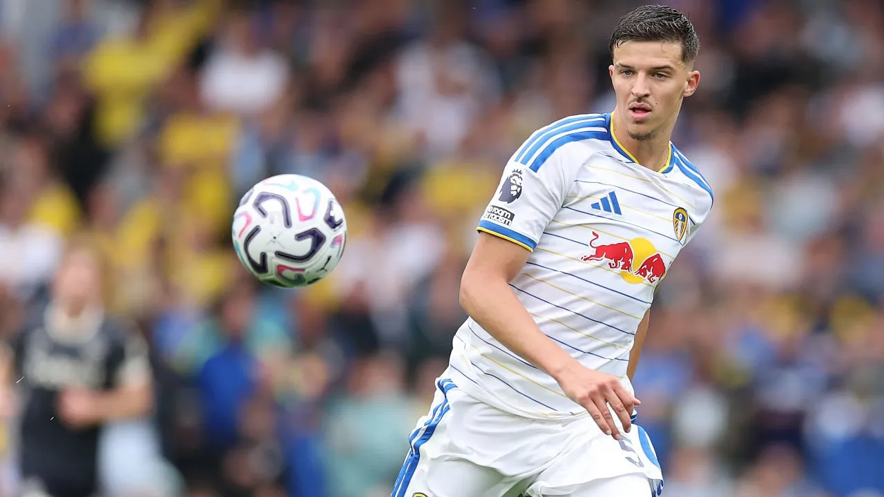 Tarik Muharemovic.