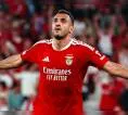 Tottenham Utamakan Transfer Striker Benfica Januari Nanti