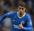 Brighton Gerak Cepat Amankan Yasin Ayari di Tengah Minat Newcastle