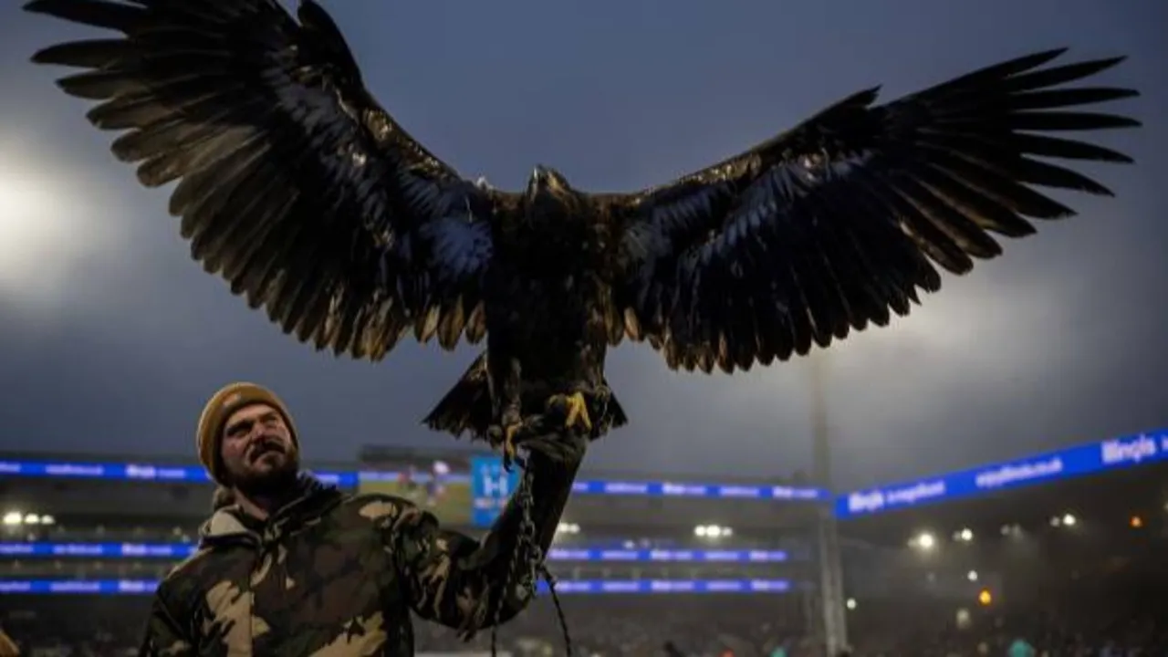 PETA mendesak manajemen Crystal Palace memensiunkan burung elang Phoenix dan menghentikan penggunaan maskot hewan hidup