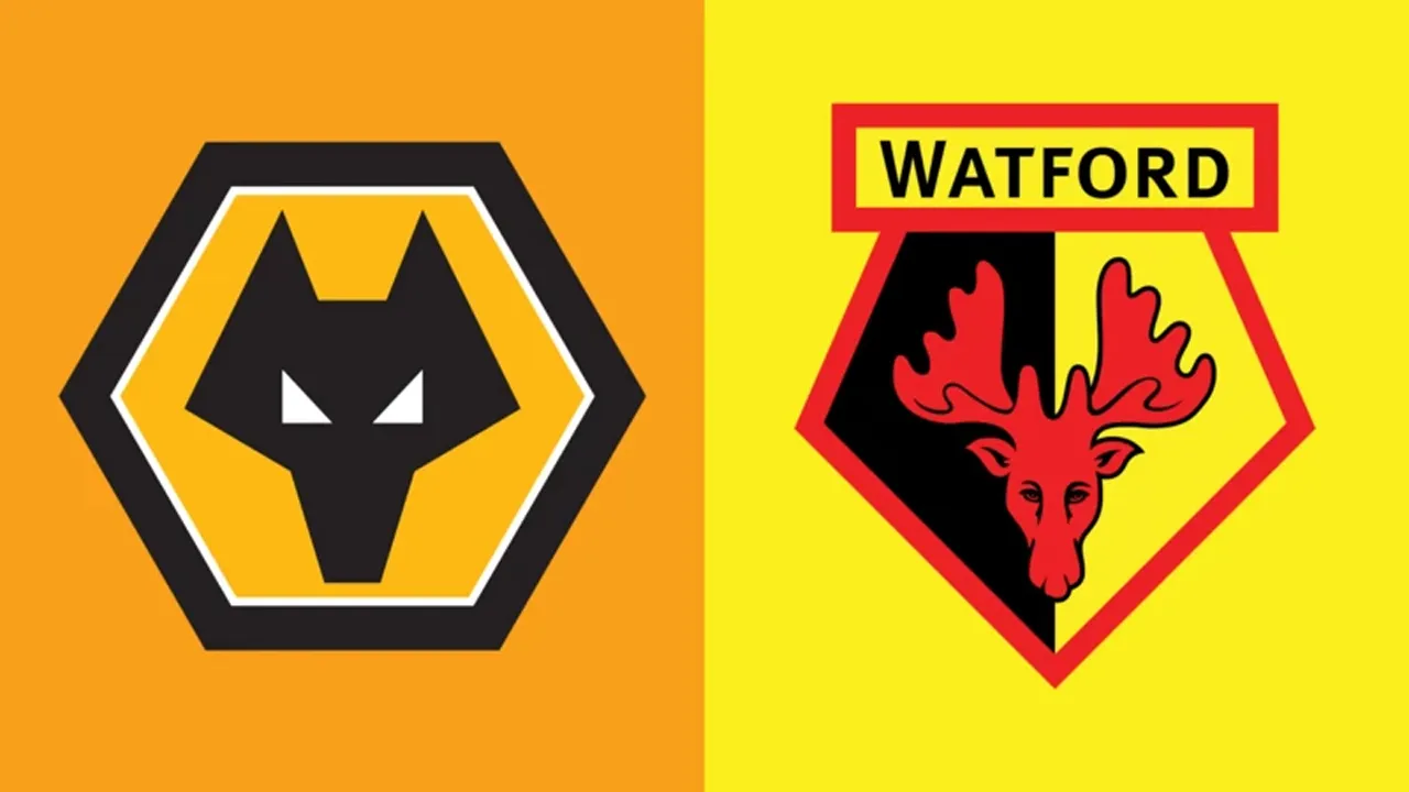 5 Fakta Laga Jelang Wolverhampton Wanderers vs Watford di EFL Championship
