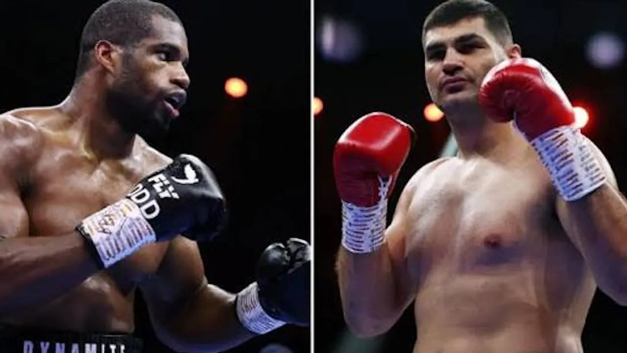 Filip Hrgovic, Daniel Dubois