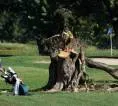Hakim Perpanjang Larangan Renovasi Lapangan Golf Publik East Potomac
