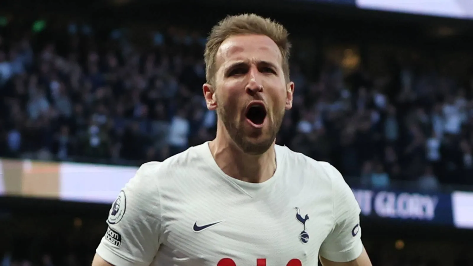 Harry Kane: Daftar Korban Terbanyak di Premier League - sumber: (givemesport)