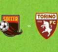 Prediksi Frosinone vs Torino, 01 November 2026 Serie A