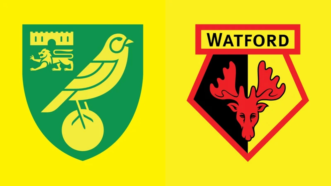 5 Fakta Laga Jelang Norwich City vs Watford di EFL Championship