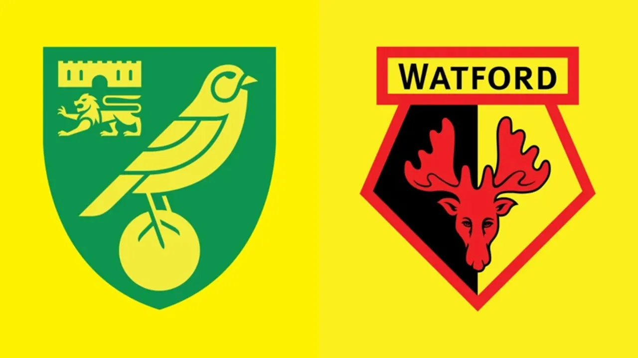 5 Fakta Laga Jelang Norwich City vs Watford di EFL Championship